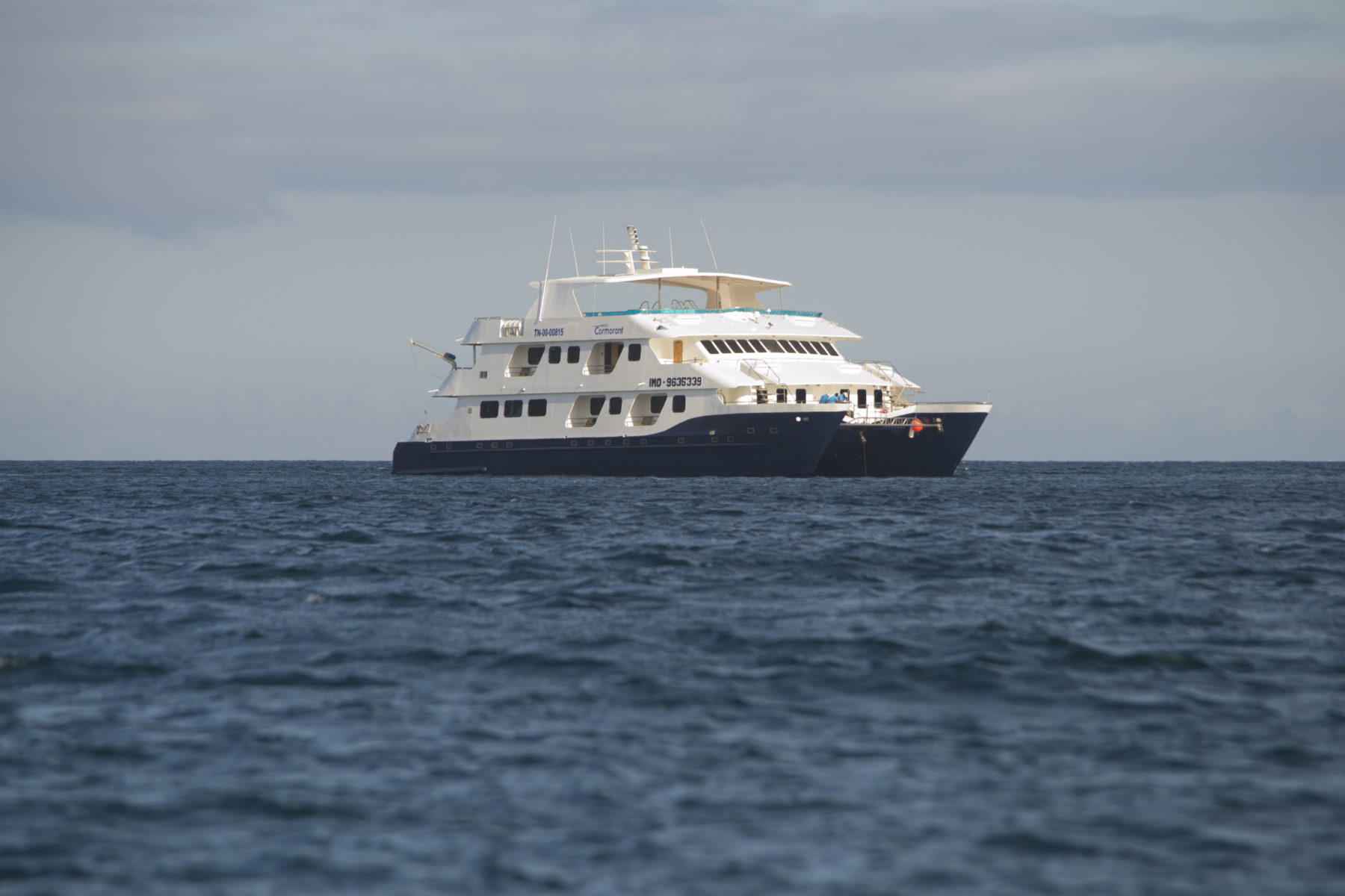 Croisière Cormorant Galapagos, yacht