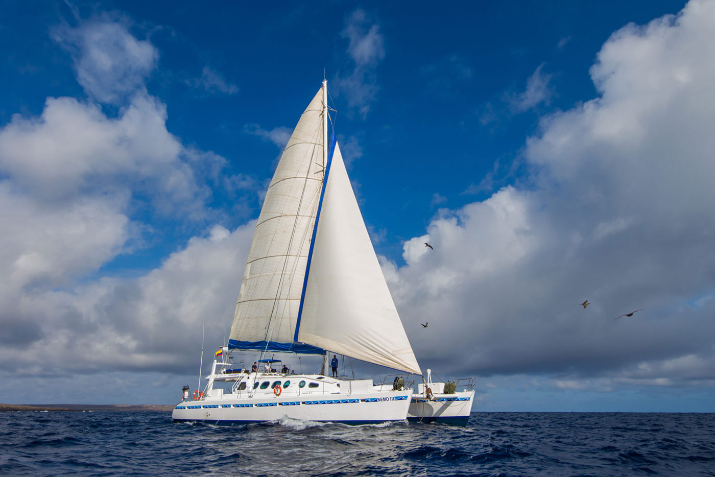 Croisière Galapagos Nemo III