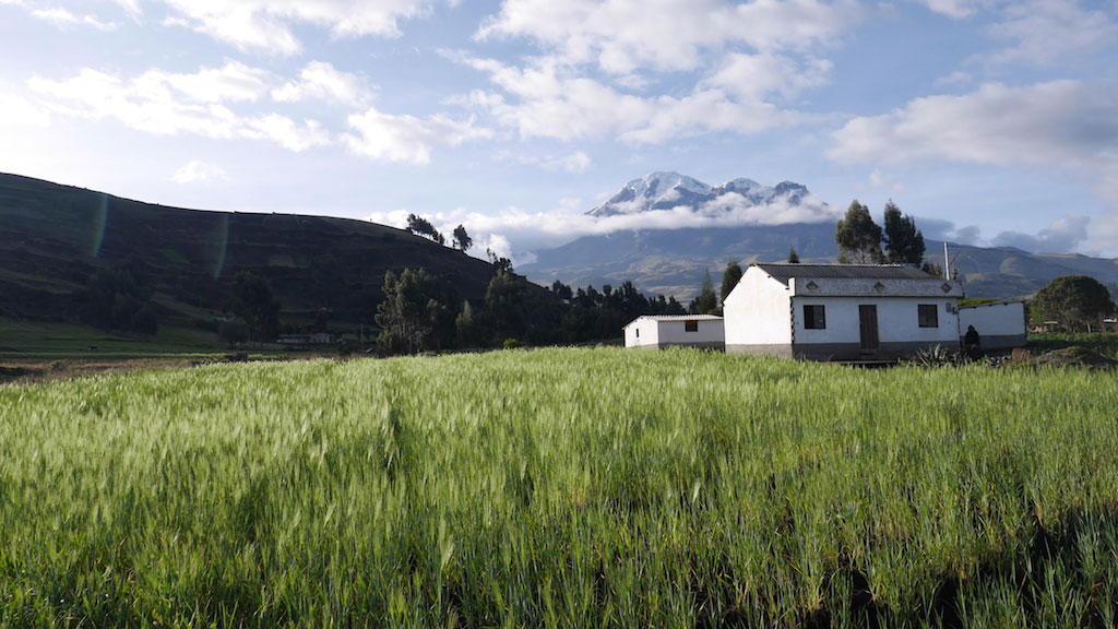 Equateur, Andes et volcans équatoriens - Chimborazo