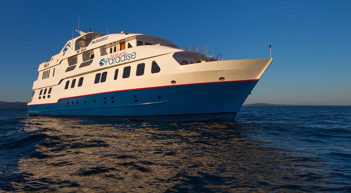 Croisière Natural Paradise Galapagos, yacht