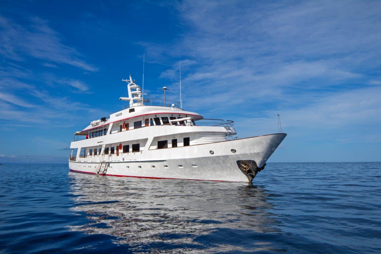 Croisière Passion Galapagos, cabine standard twin