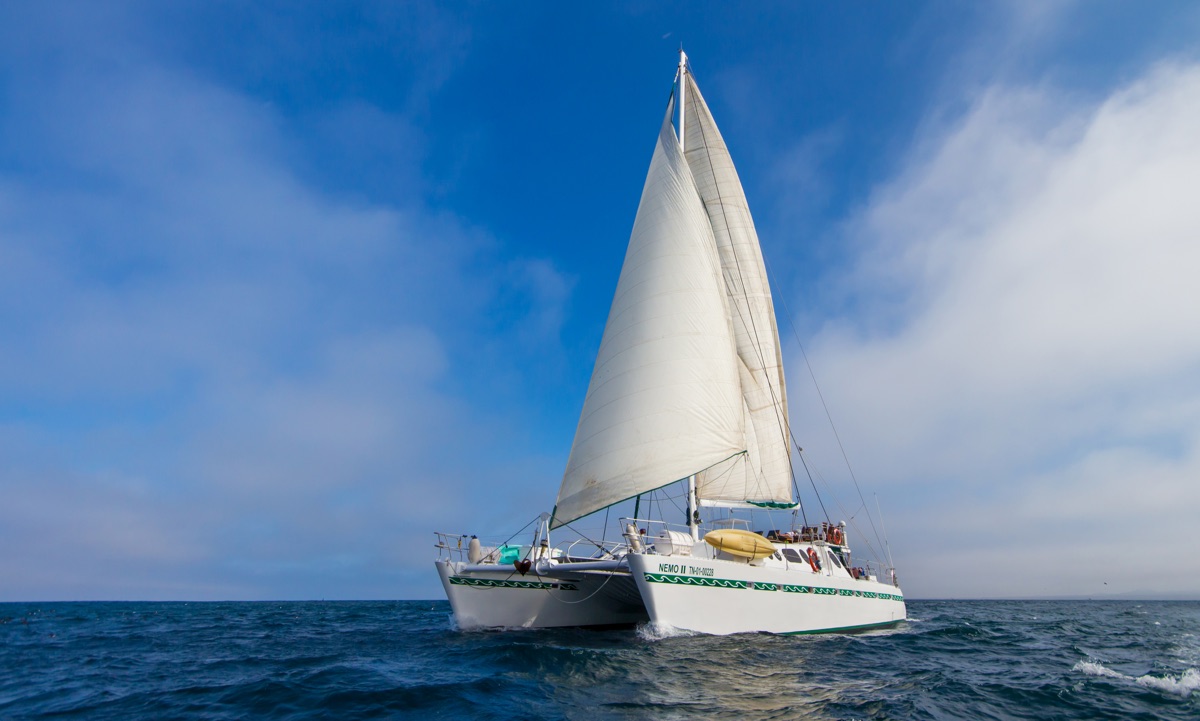 Croisière Galapagos Nemo II