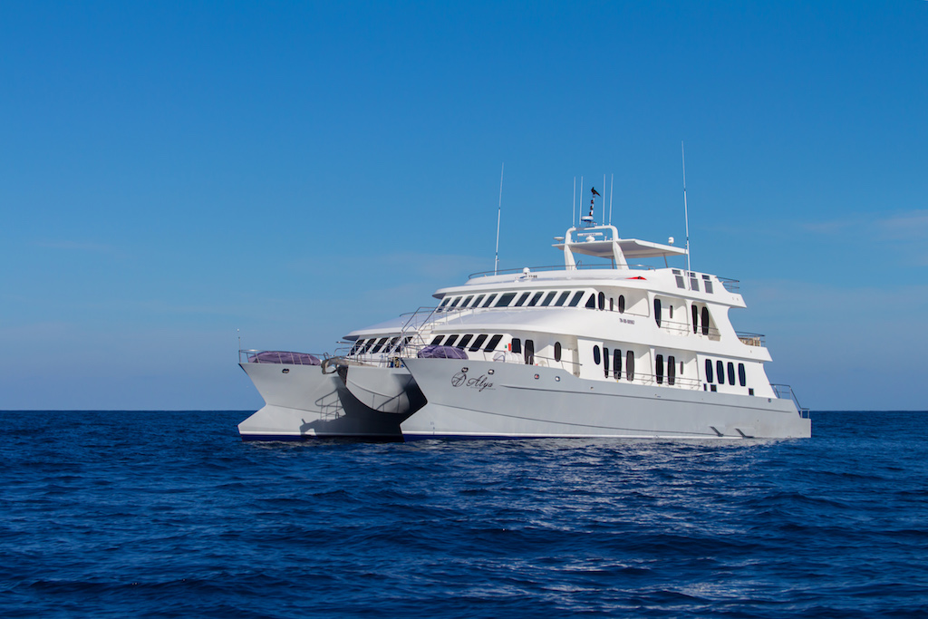 Croisière Alya Galapagos