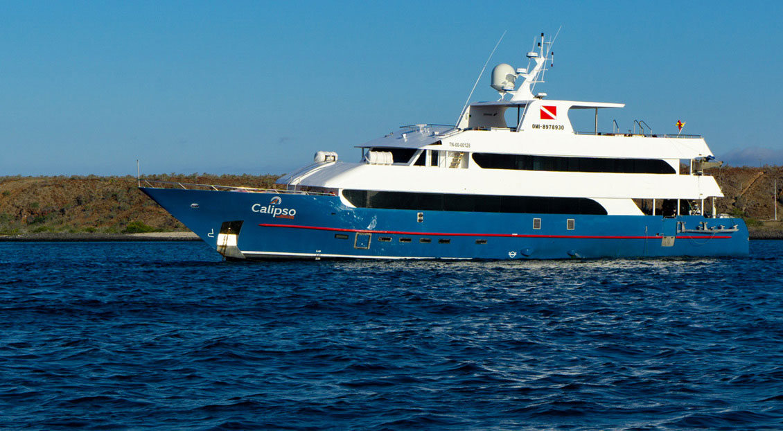 Croisière Galapagos Calipso