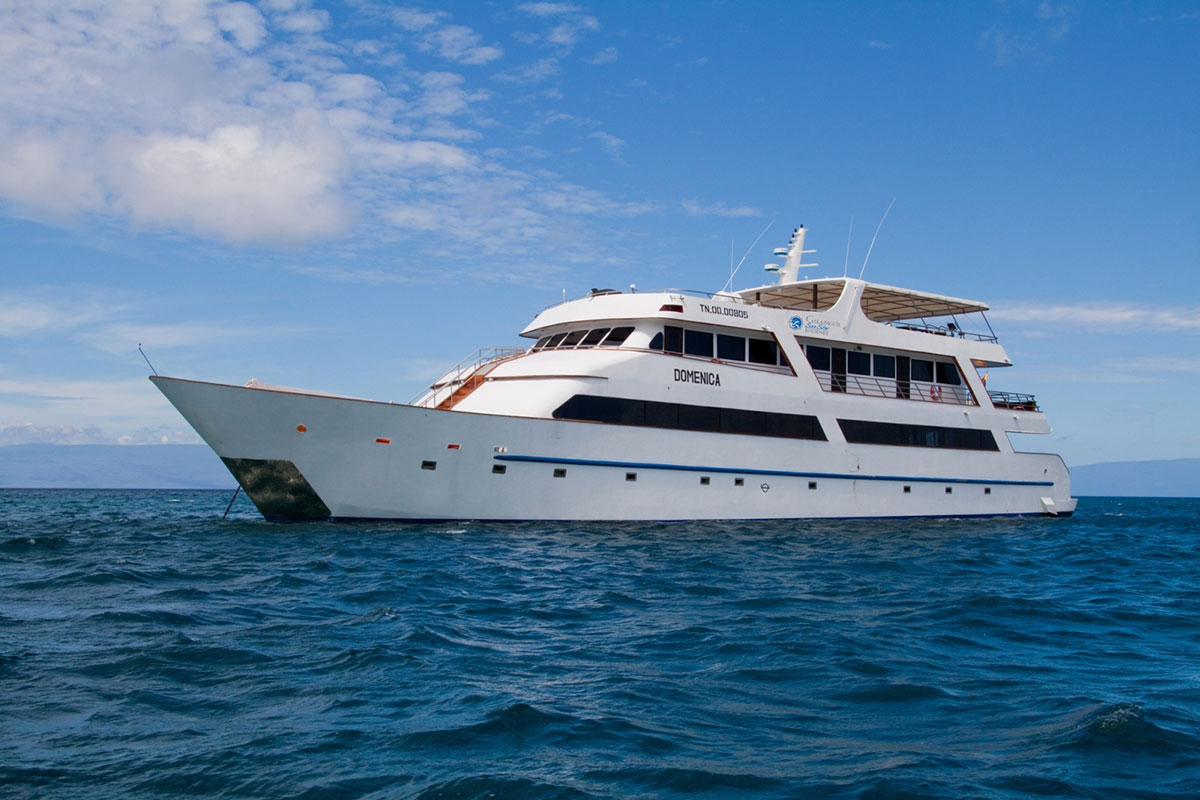 Croisière Galapagos Majestic, Sea Star