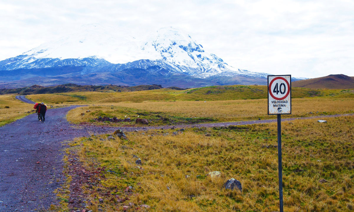 Réserve Antisana, Andes d'Equateur