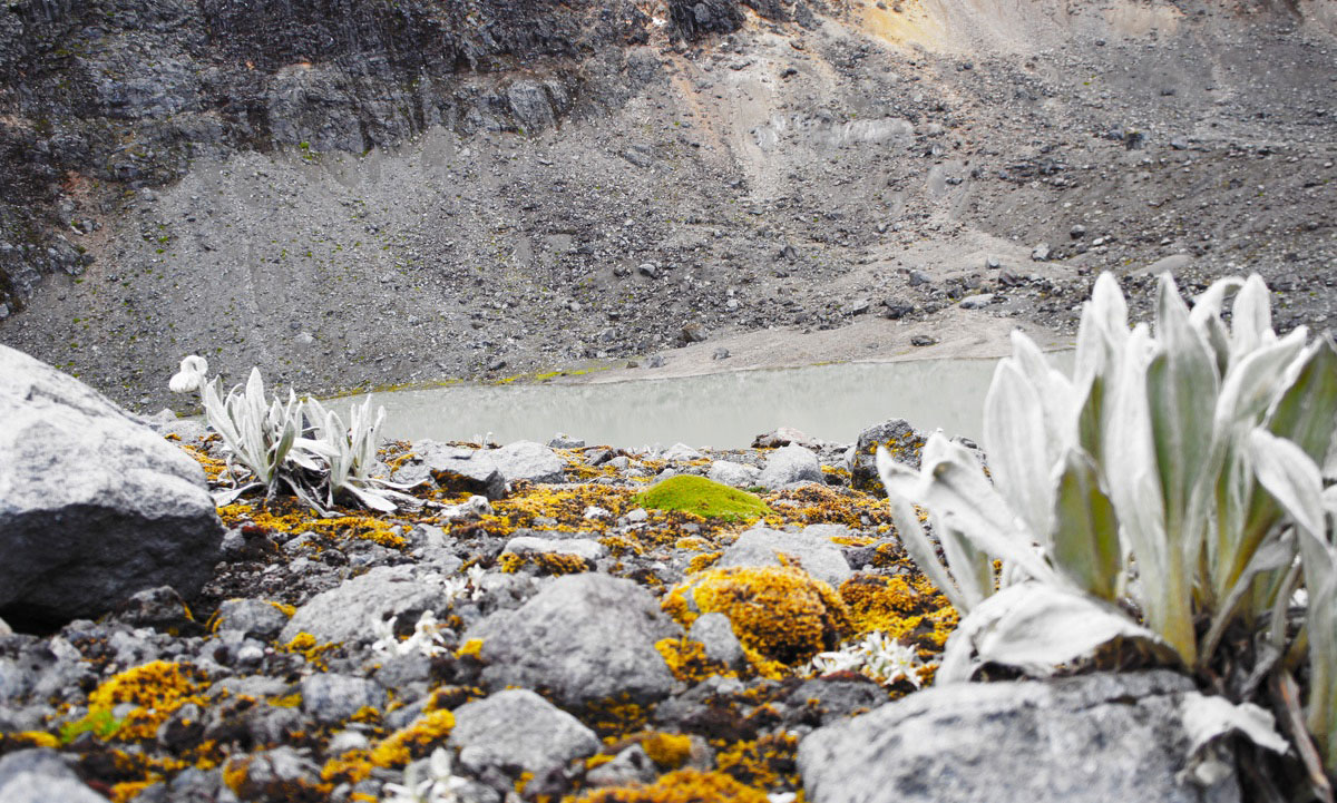 Parc National Cajas, Andes d'Équateur