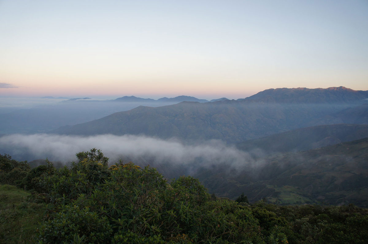 Parc National Podocarpus, Andes d'Equateur