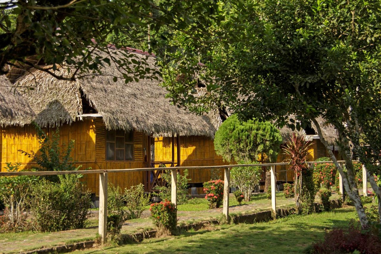 Yarina Eco lodge, Amazonie